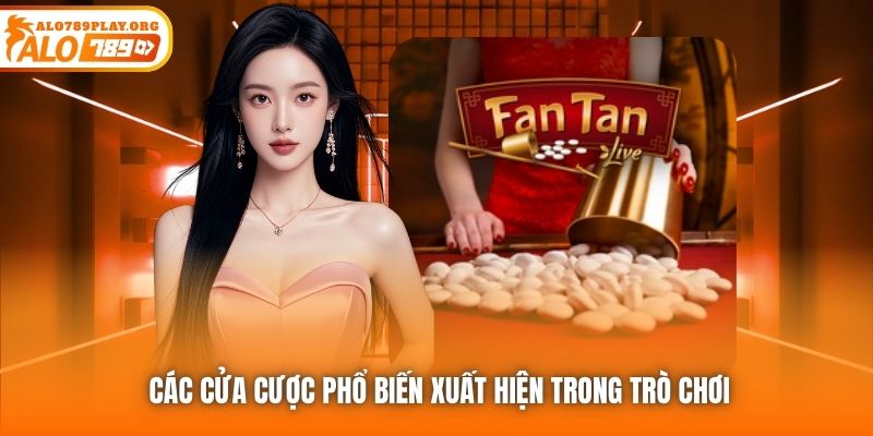 Các cửa cược phổ biến xuất hiện trong trò chơi