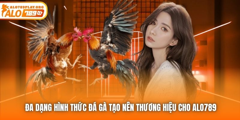 Đa dạng hình thức đá gà tạo nên thương hiệu cho Alo789
