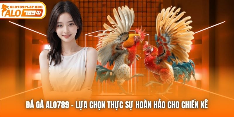 Đá Gà Alo789 - lựa chọn thực sự hoàn hảo cho chiến kê