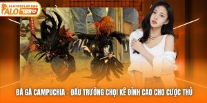 Đá Gà Campuchia | Đấu Trường Chọi Kê Đỉnh Cao Cho Cược Thủ