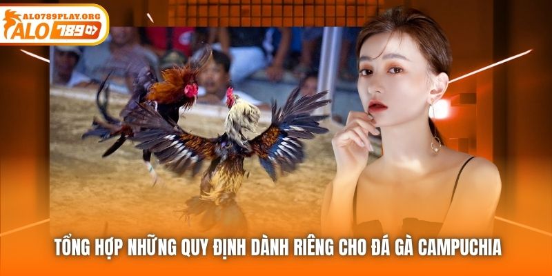 Tổng hợp những quy định dành riêng cho đá gà Campuchia